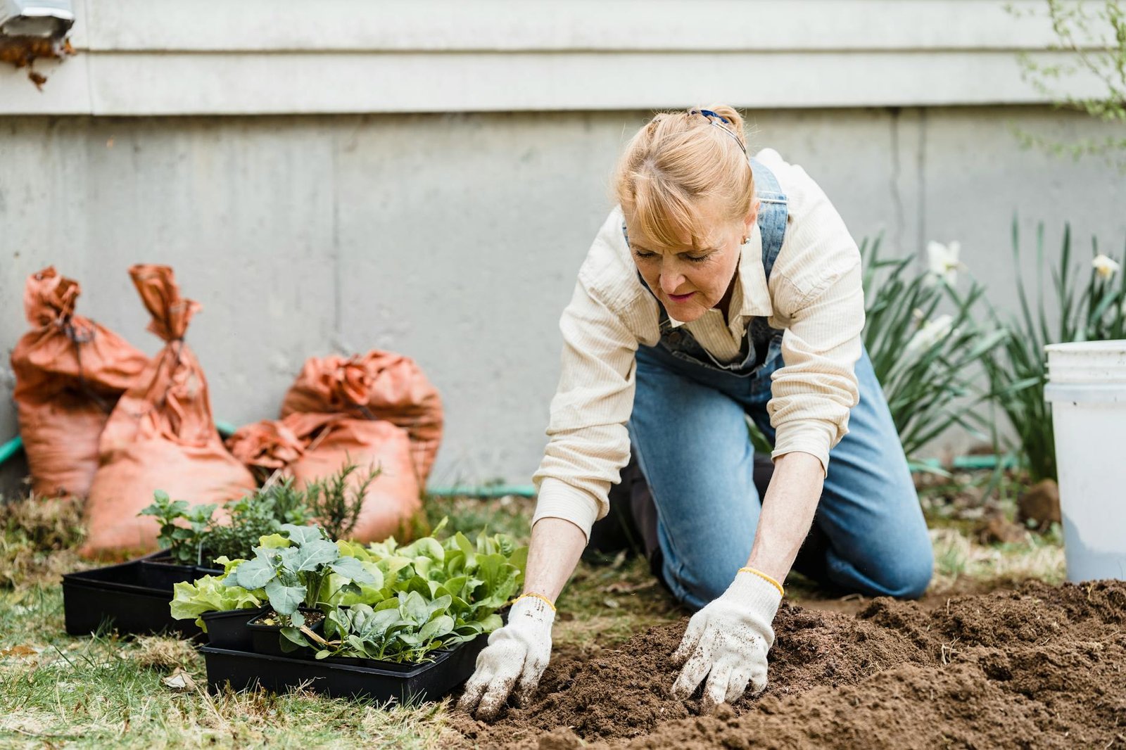 Como fazer compostagem em casa de forma simples — como fazer compostagem em casa de forma simples | bestseat.com.br
