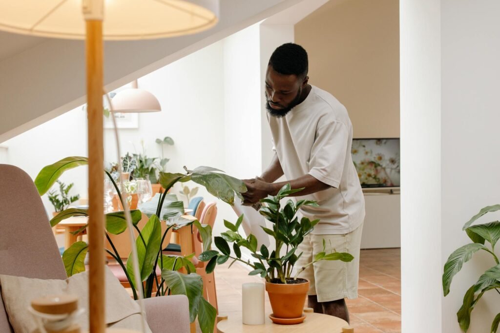 Respire Melhor em Casa: As Melhores Plantas que Purificam o Ar — melhores plantas para ter em casa que purificam o ar | bests